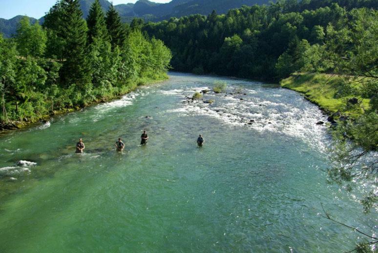 Appartement Klemen Bohinjska Bela