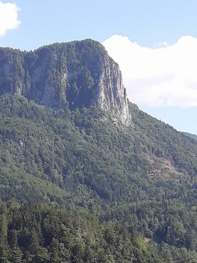 Appartement Klemen Bohinjska Bela