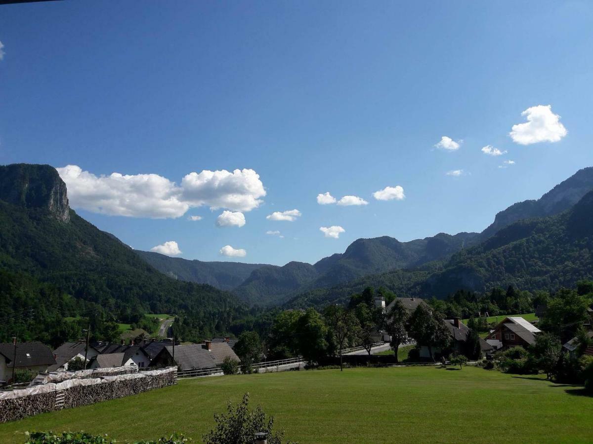 Klemen * Bohinjska Bela